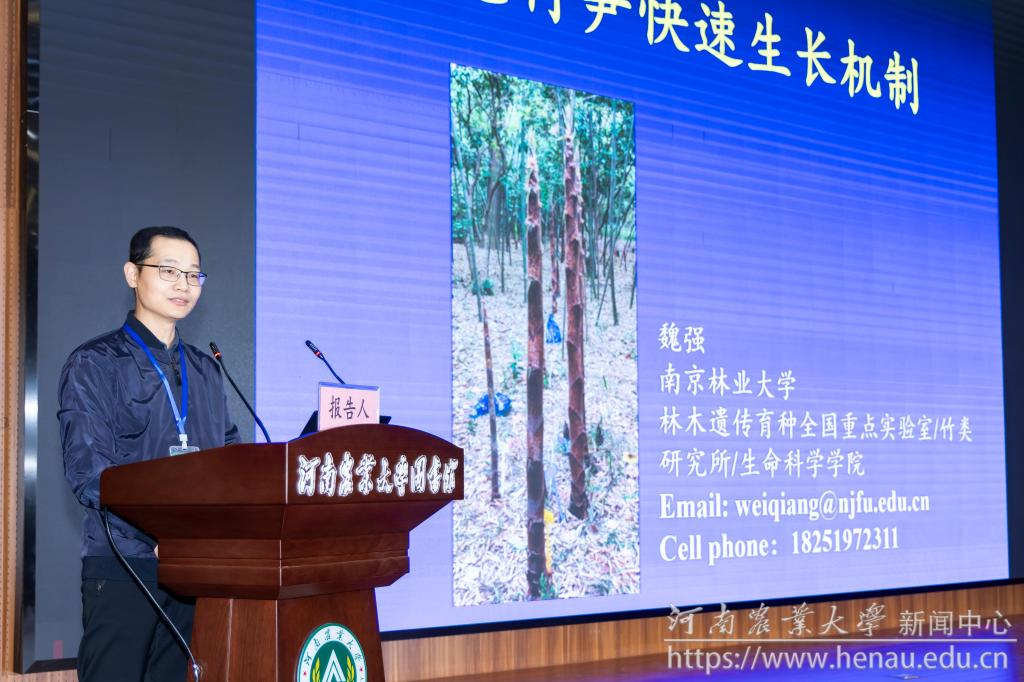 13魏强.jpg 13魏强.jpg