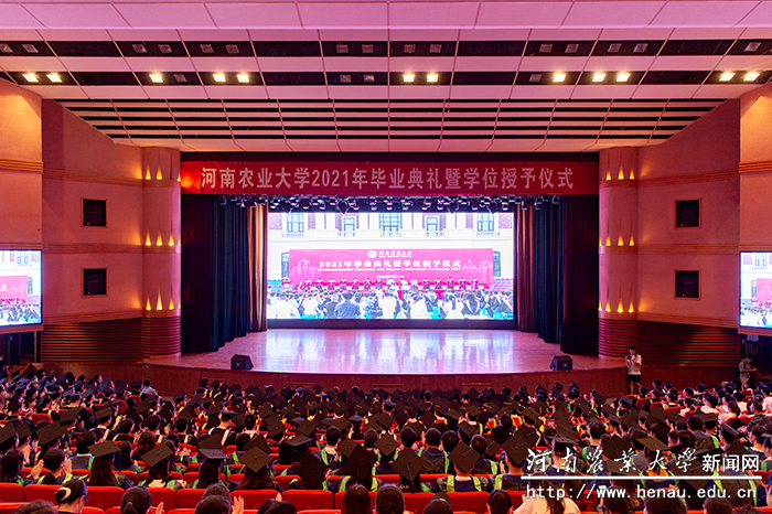 文化路校区分会场2