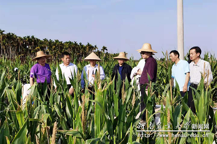 校领导一行现场实地察看基地情况