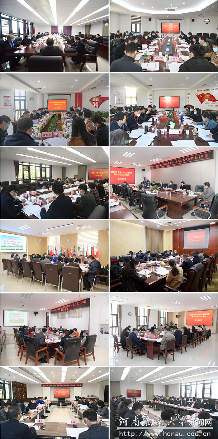 主席团及各代表团认真讨论