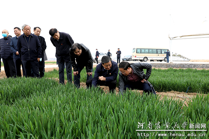 副省长武国定在试验田实地考察