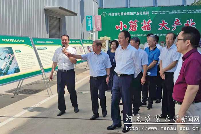 活动现场 活动现场