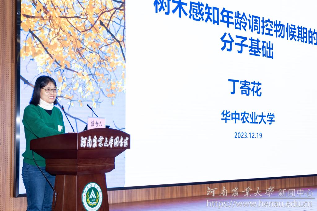 12丁寄花.jpg 12丁寄花.jpg