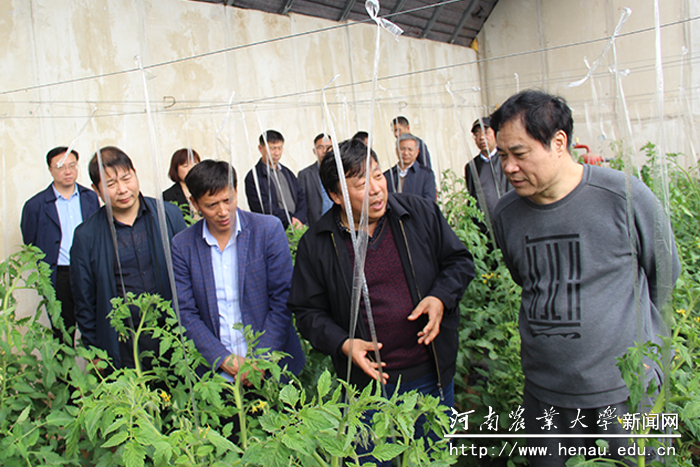 张改平一行在农业合作社蔬菜大棚内了解栽培种植管理技术