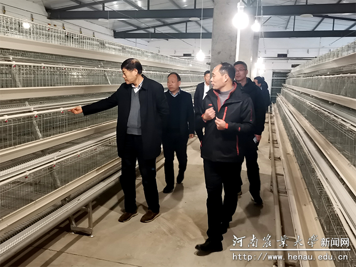 调研现场 调研现场