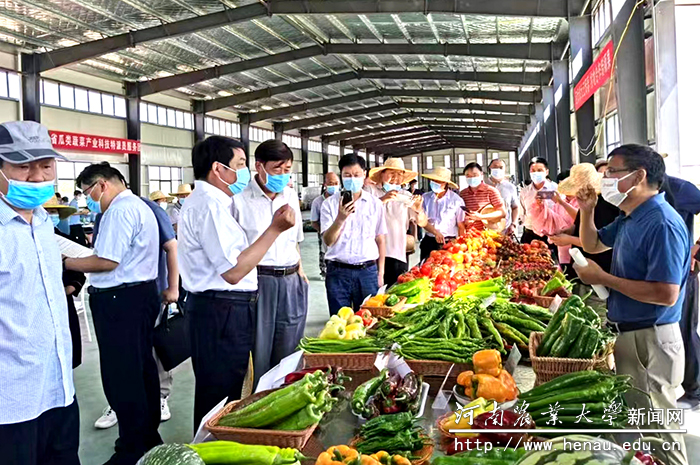 副校长康相涛带队在焦作市参加河马鲜果小镇首届优质果蔬品鉴会