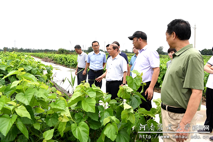 校长介晓磊实地查看项目进展情况