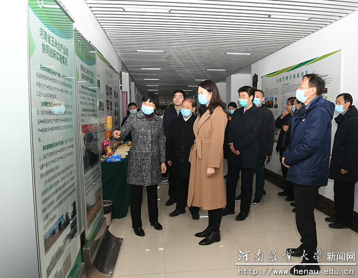 副省长霍金花一行听取专家汇报 副省长霍金花一行听取专家汇报