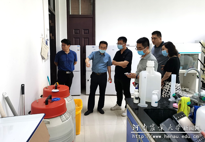 检查组进行现场实地检查