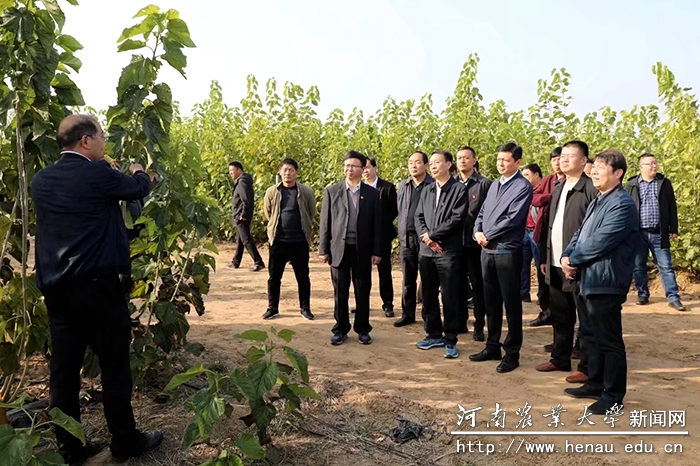 校党委书记魏蒙关实地查看项目进展情况