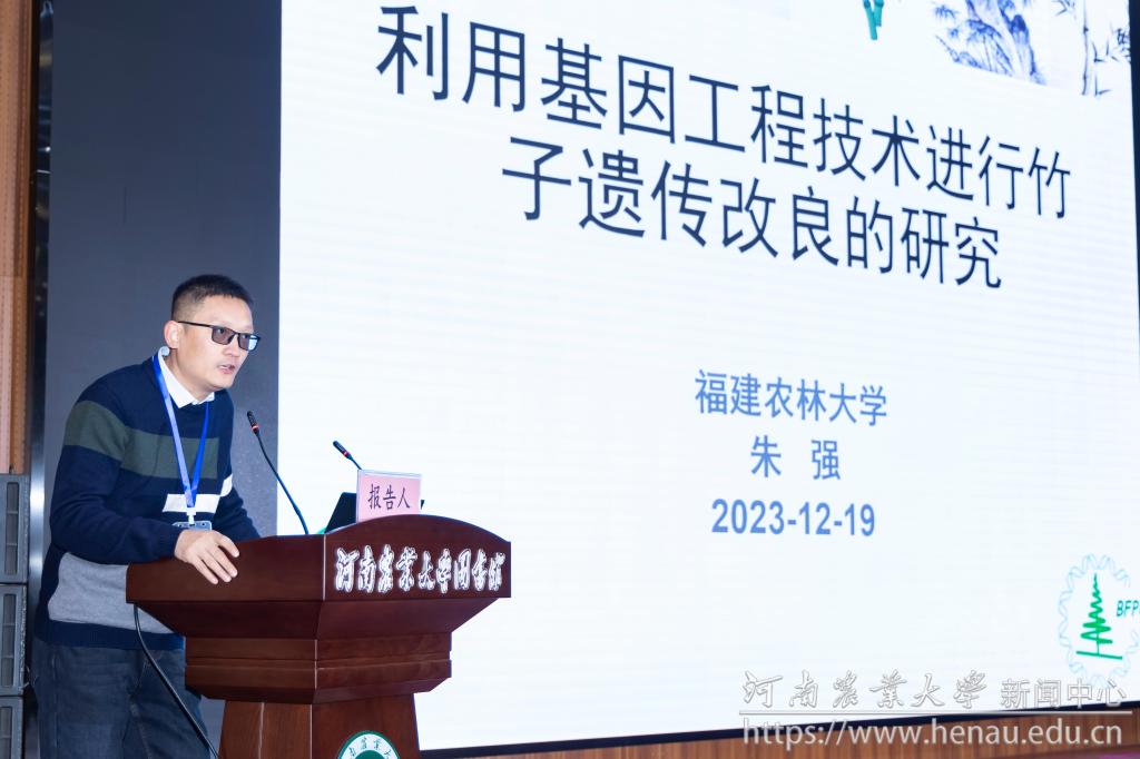 11朱强.jpg 11朱强.jpg