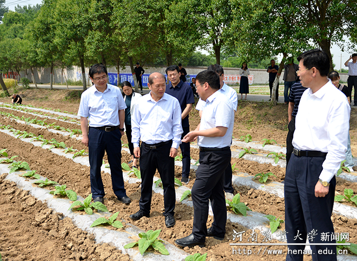 校长介晓磊实地察看烟苗生长情况