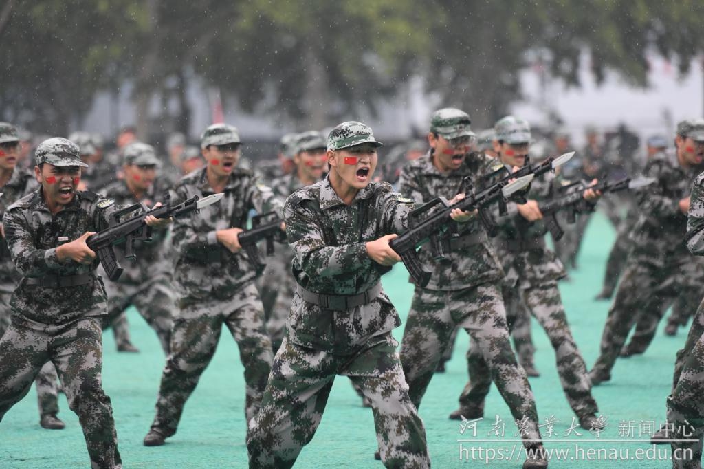 DSC_6510.JPG undefined